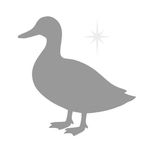 Grey Duck Logo